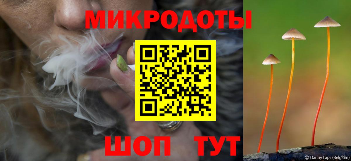 Галлюциногенные грибы MAGIC MUSHROOMS  Вход с VPN  Мончегорск  Галлюциногенные грибы GOLDEN TEACHER 